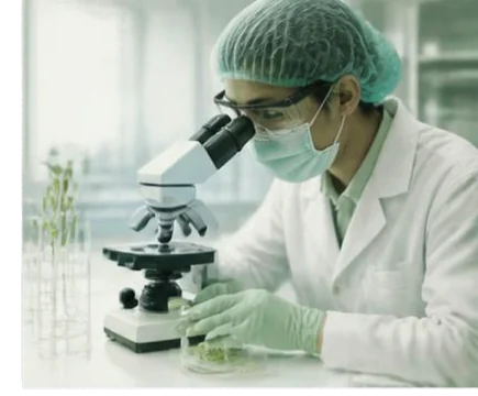 Researcher working with a microscope