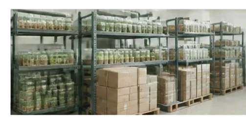 Tissue culture production facility
