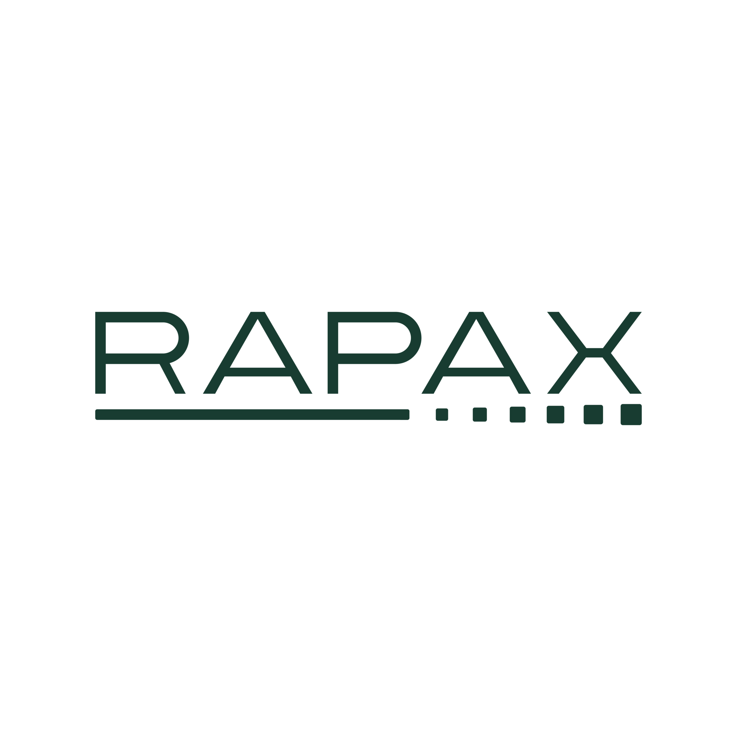 RAPAXlogo-02